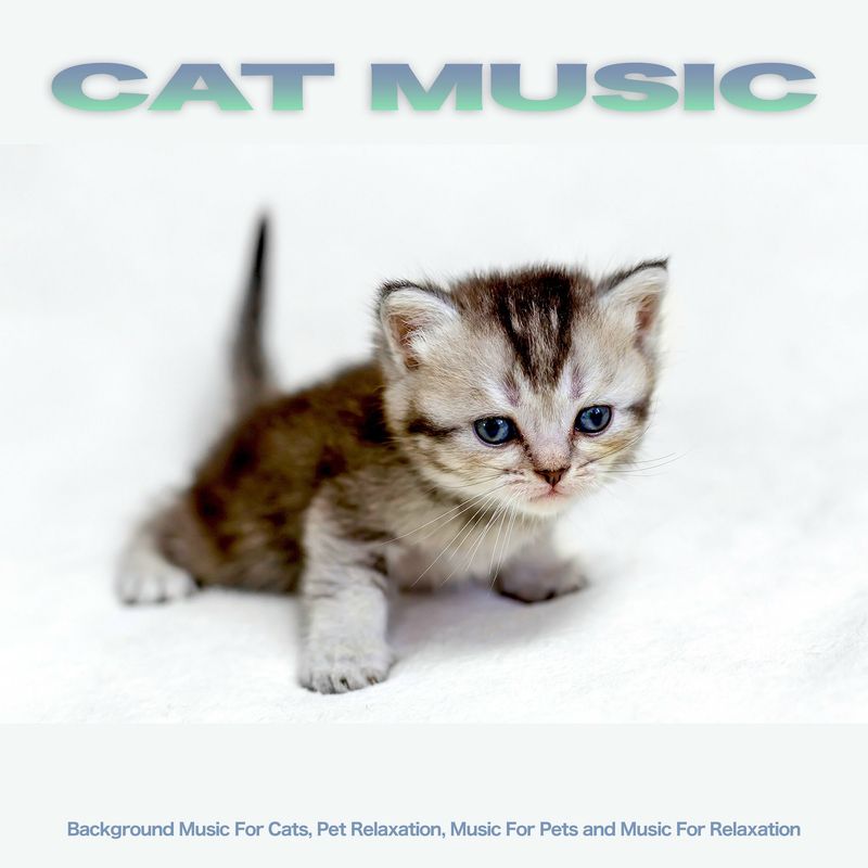 Music for Cats