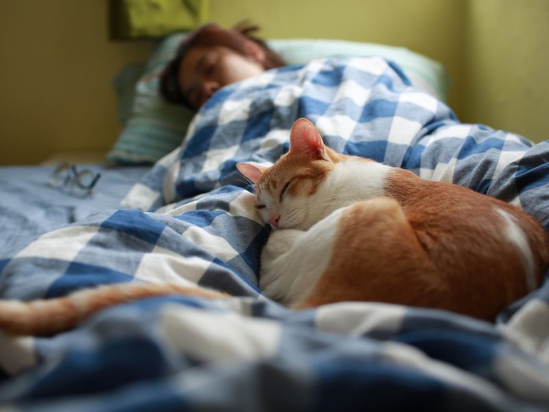 Napping Near You