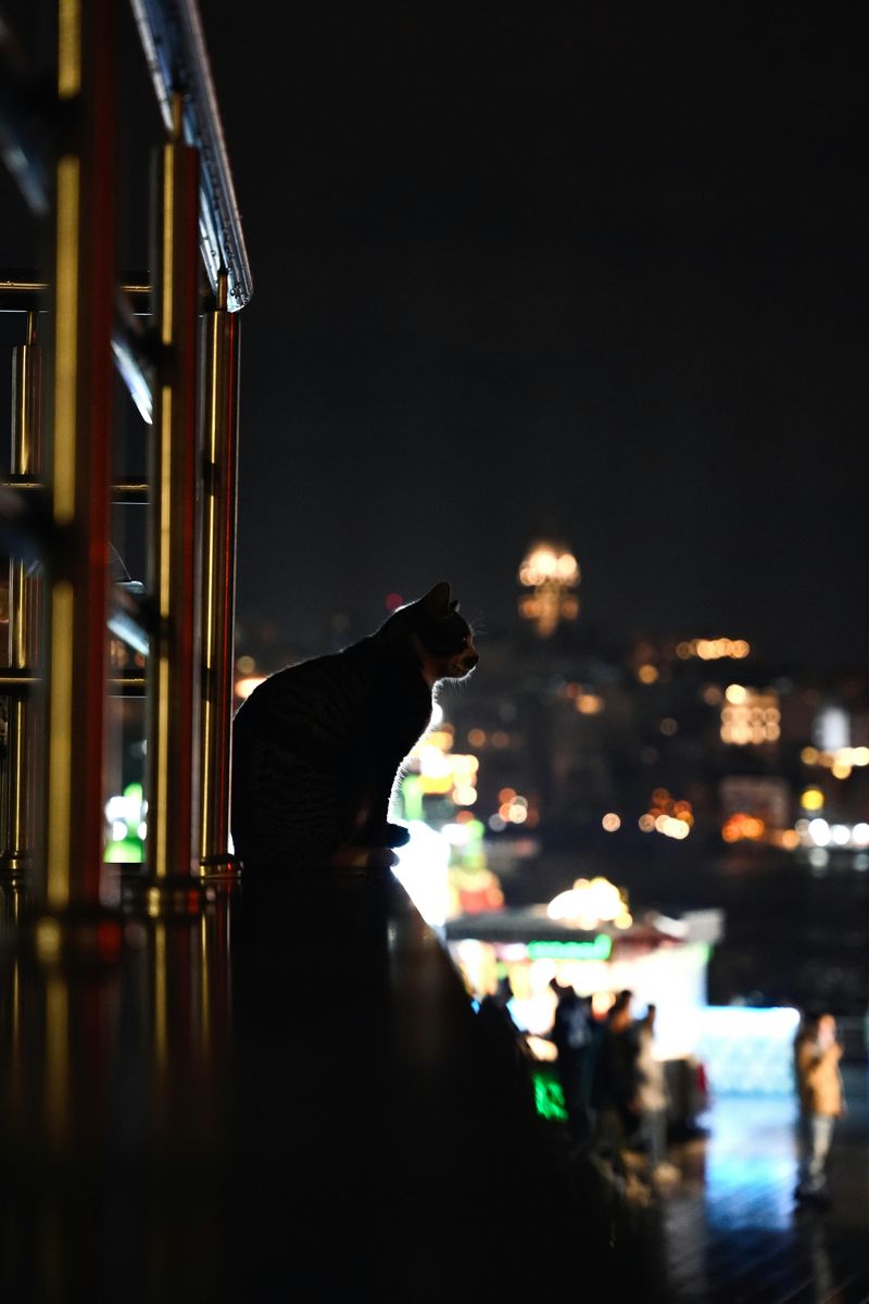 Navigating Urban Landscapes