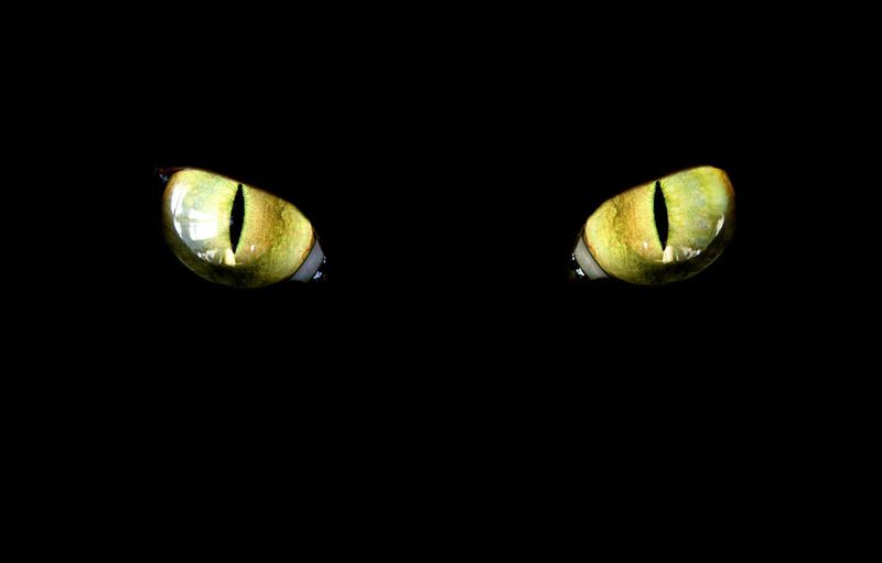 Night Vision