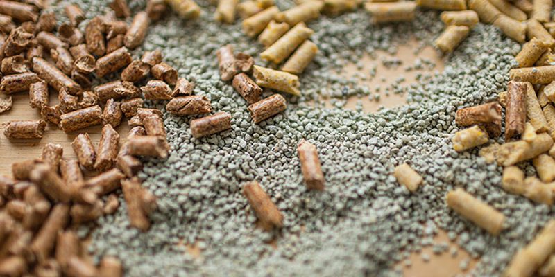 Non-Clumping Litter: More Frequent Refreshes