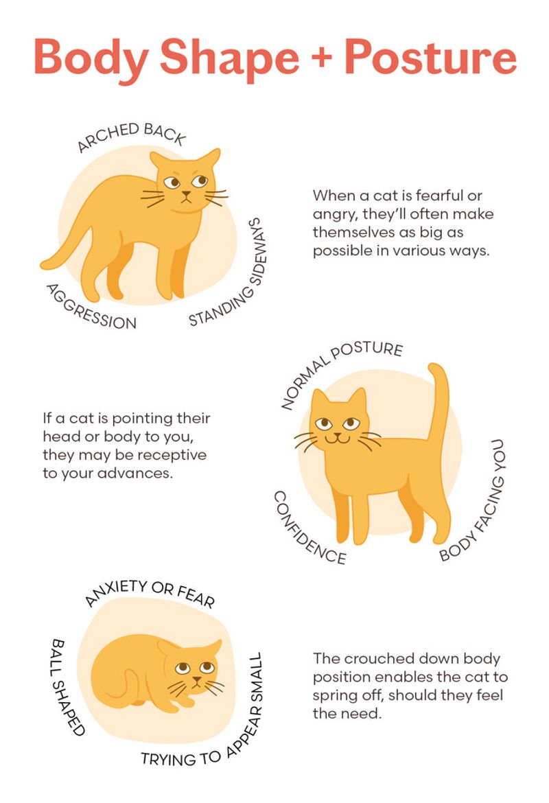 Observe Body Language Closely