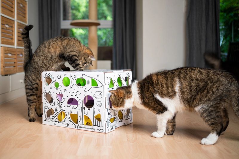 Offer Enrichment That Respects Boundaries