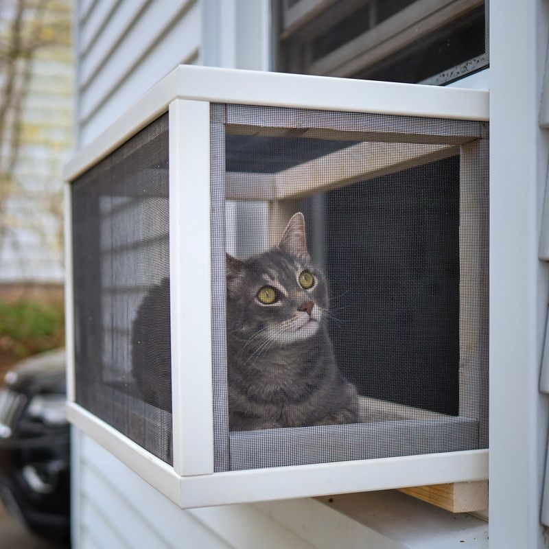 Offer Enrichment Through Window Views