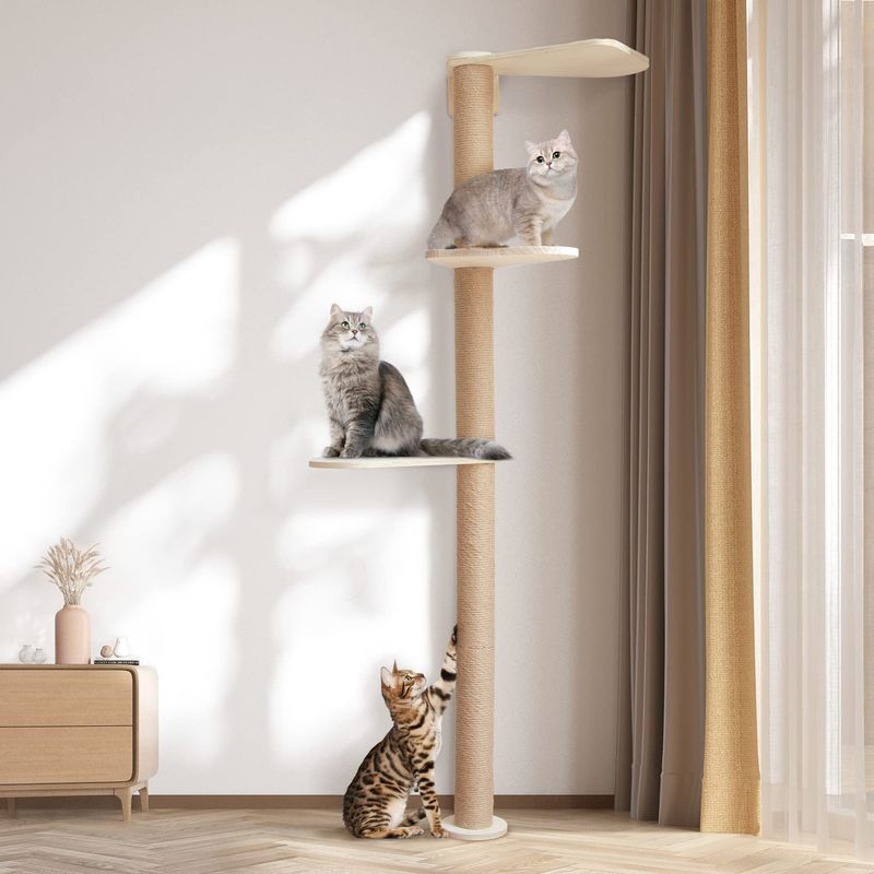 Offer High Perches and Climbing Trees