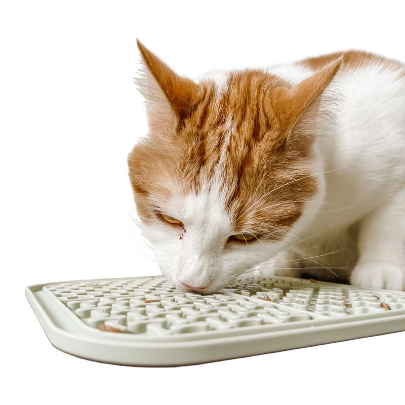 Offer a Lick Mat or Puzzle Feeder