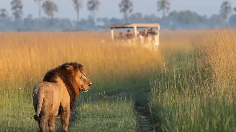 Okavango Delta, Botswana