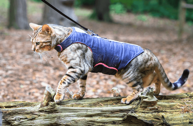 Outdoor Exploration