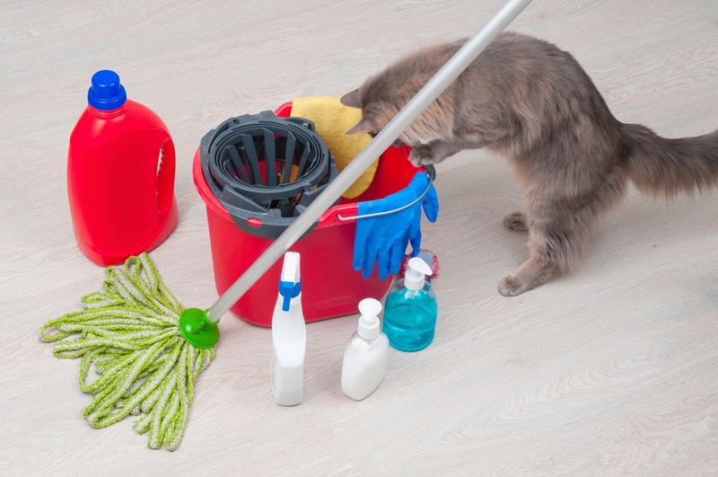 Oven Cleaners
