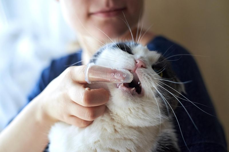 Overlooking Dental Health