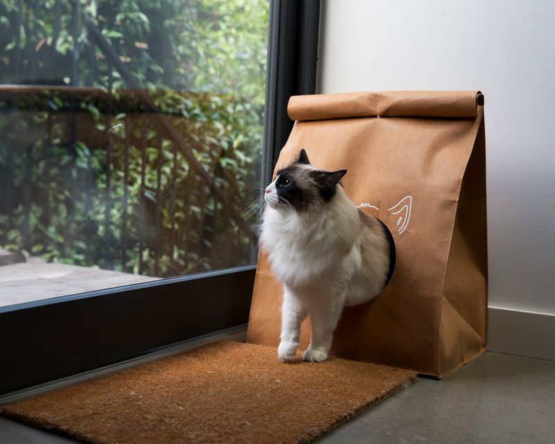 Paper Bag Hideaway