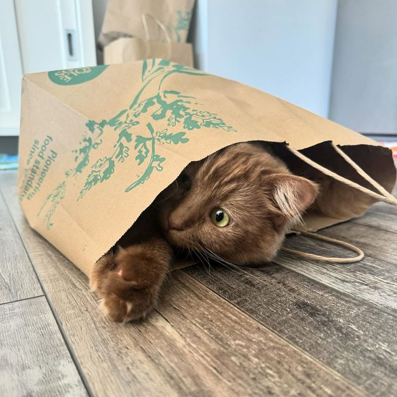 Paper Bag Playground