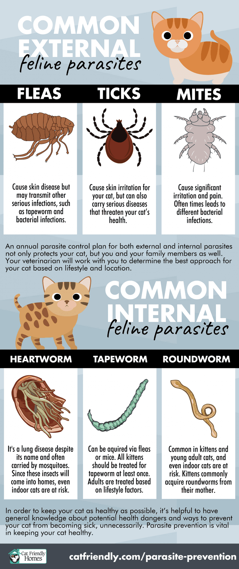 Parasites