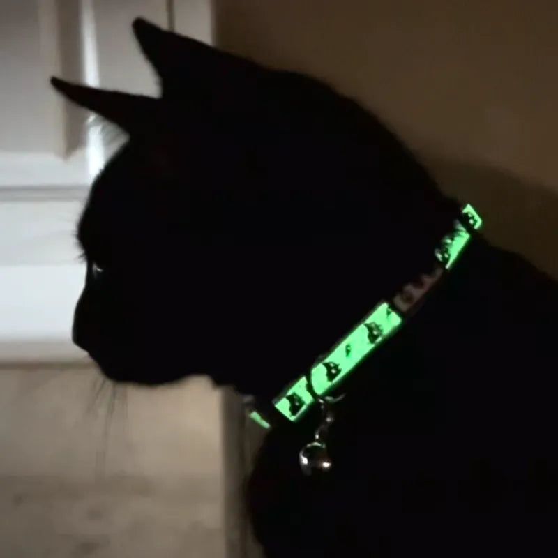 Pawtitas Glow-in-the-Dark Cat Collar