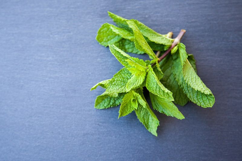 Peppermint