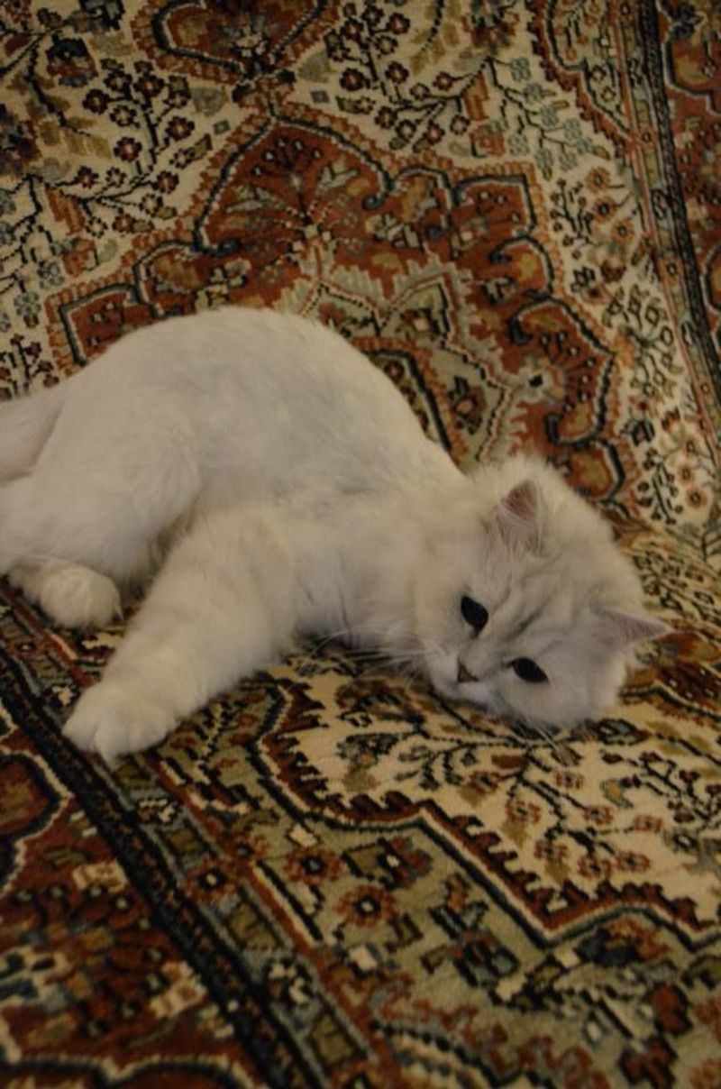 Persian