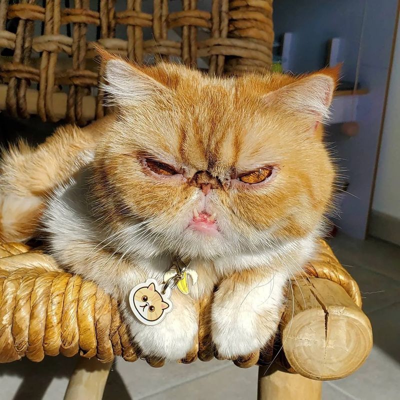 Persian