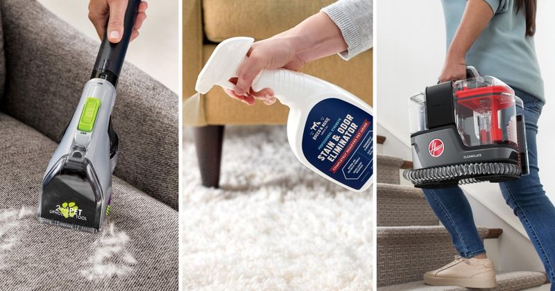 Pet Stain Removal