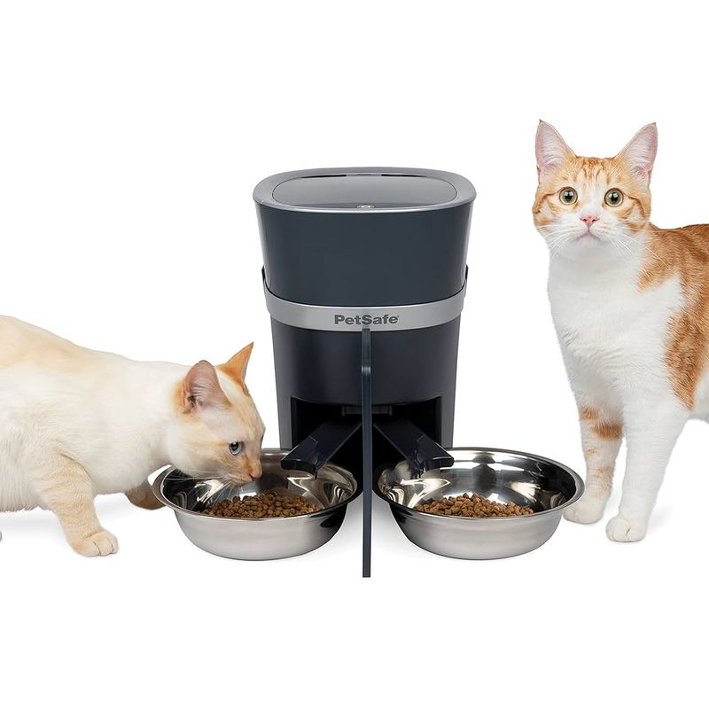 PetSafe Smart Feed 2.0 Automatic Pet Feeder