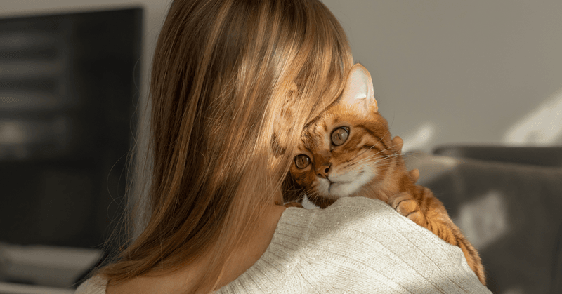 Physical Contact Without Emotional Demands