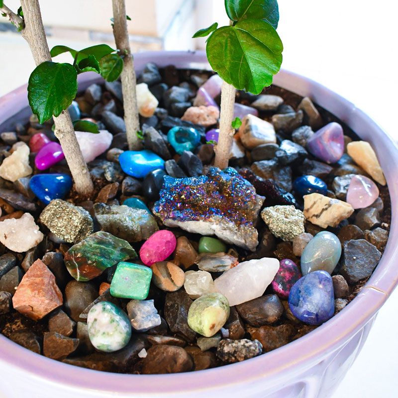 Place Rocks or Pebbles in Pots