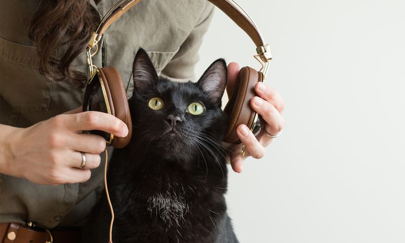 Play Calming Music or White Noise