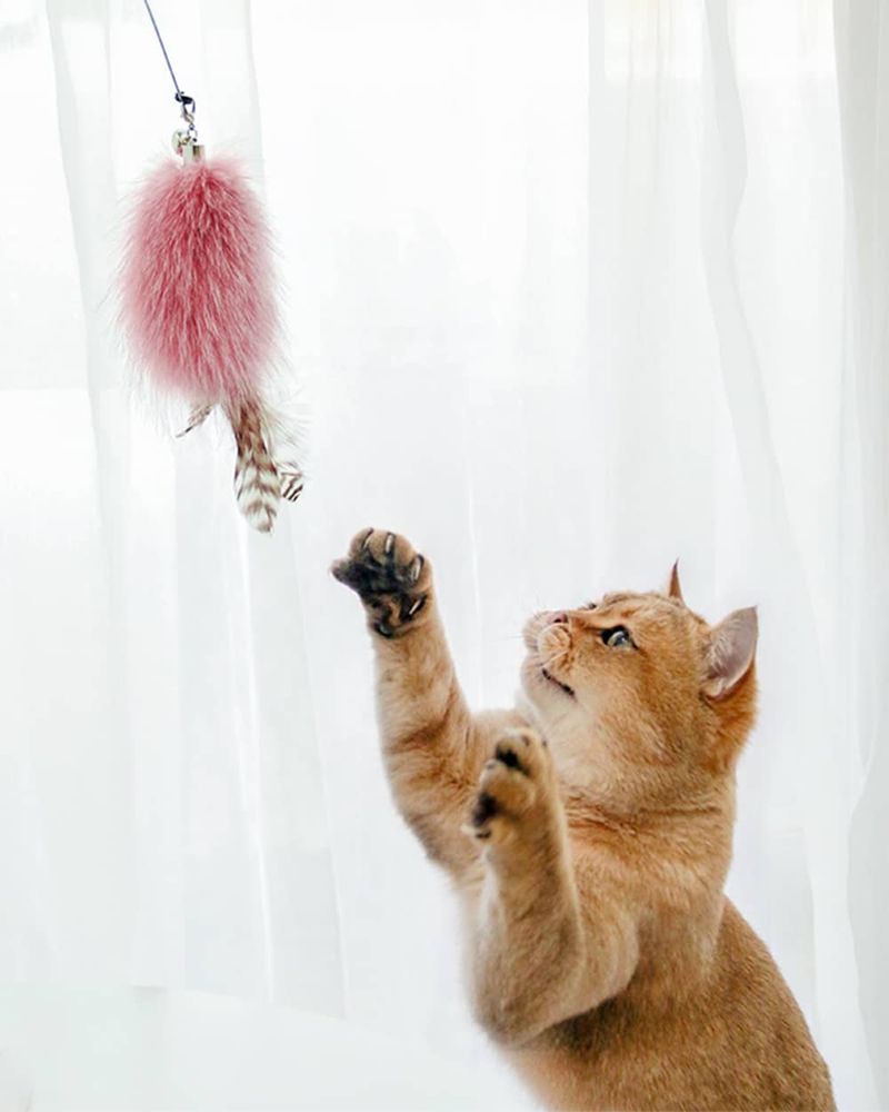 Playtime Rituals