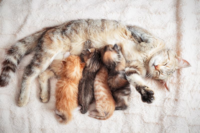 Post-Pregnancy Care