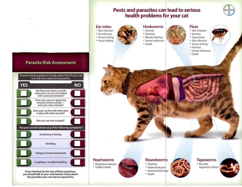 Preventing Parasites