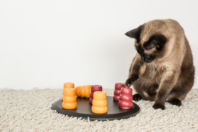 Problem-Solving Prowess