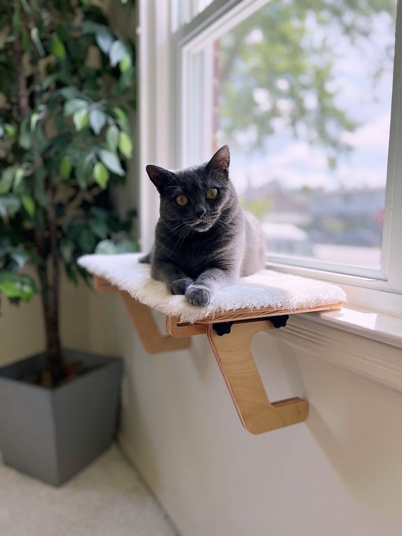 Provide Elevated Resting Spots