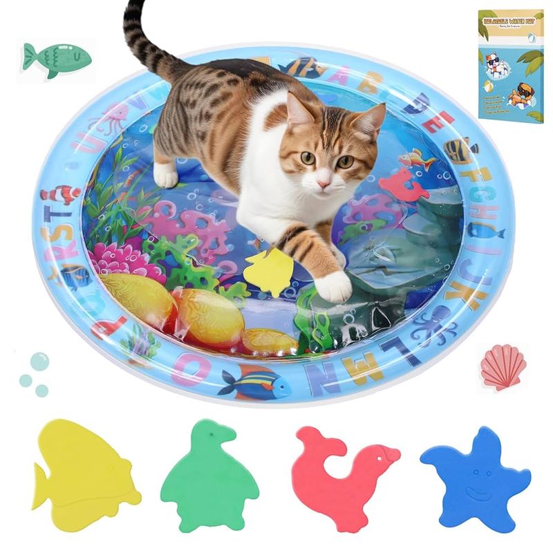 Provide Interactive Play