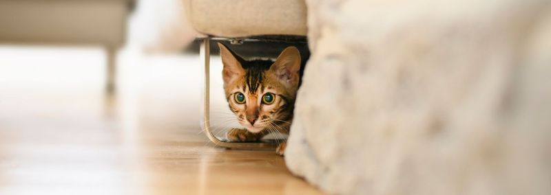 Provide Safe Hiding Spaces