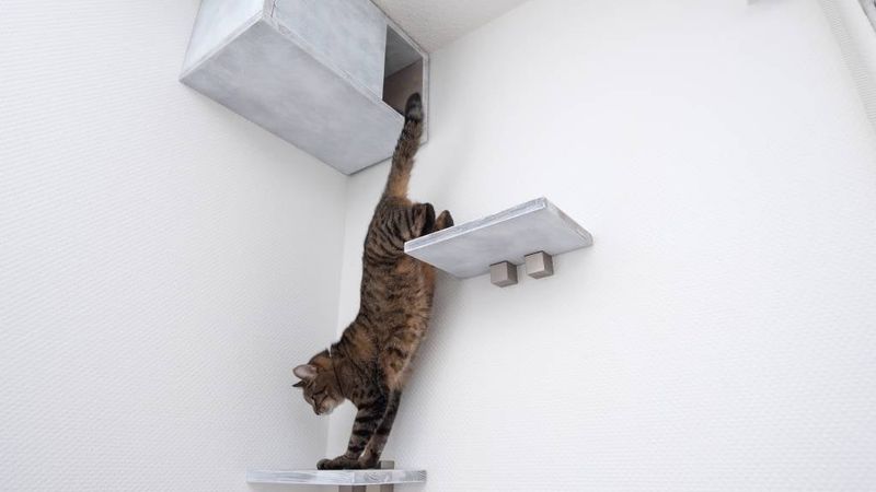 Provide Vertical Territory