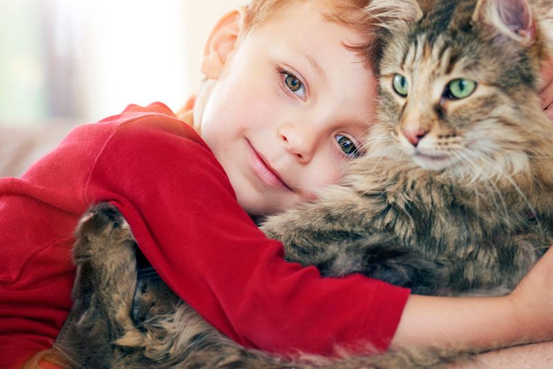 Providing Emotional Support and Stress Relief