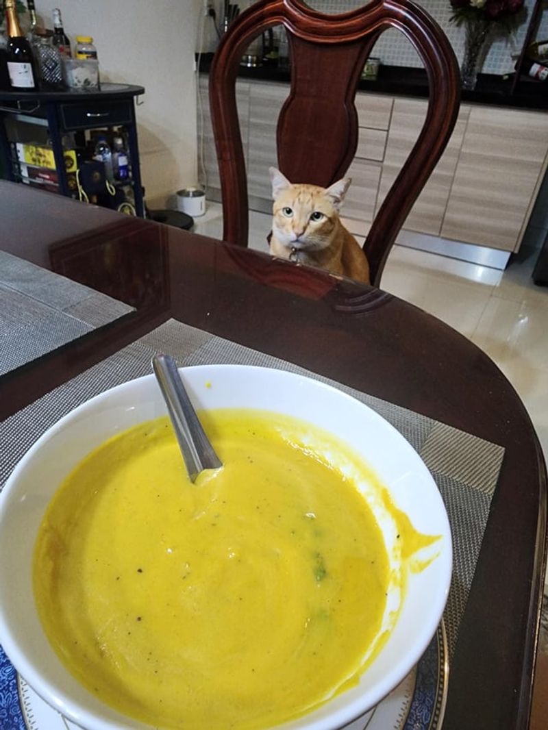 Pumpkin Soup