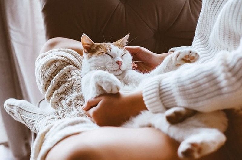 Purring While Cuddling