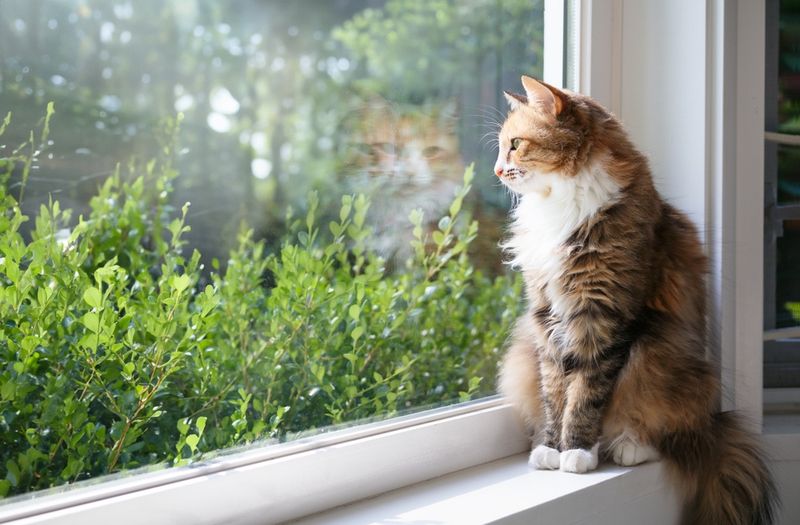 Quality Alone Time