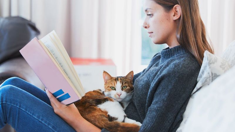 Quiet Reading Company