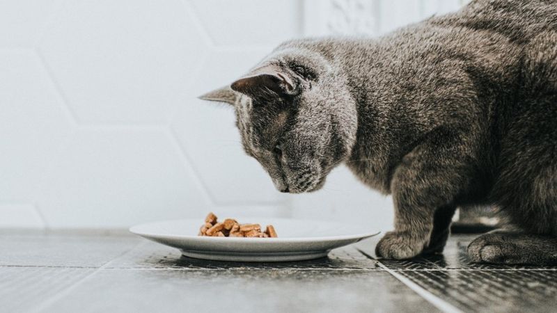 Refusing Food Consistently