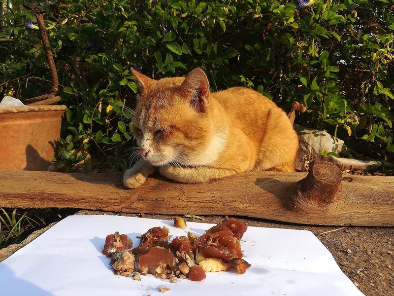 Refusing Food and Water