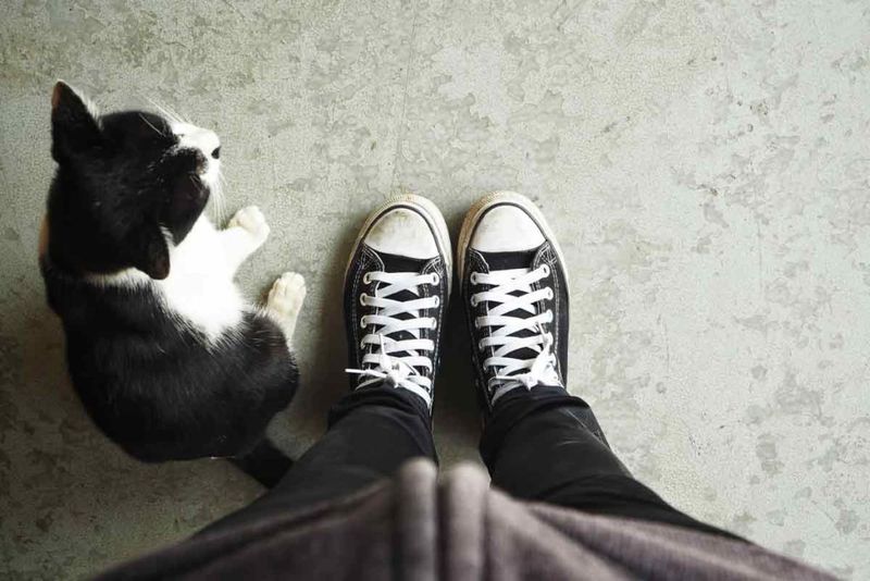 Refusing To Leave Your Side