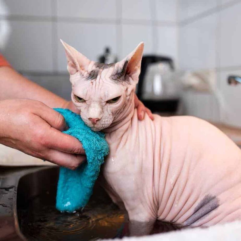 Regular Bathing