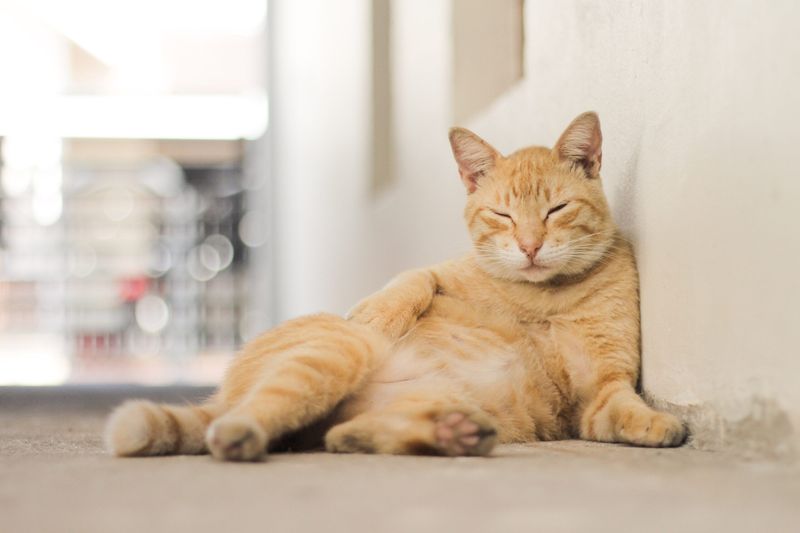 Relaxed Posture