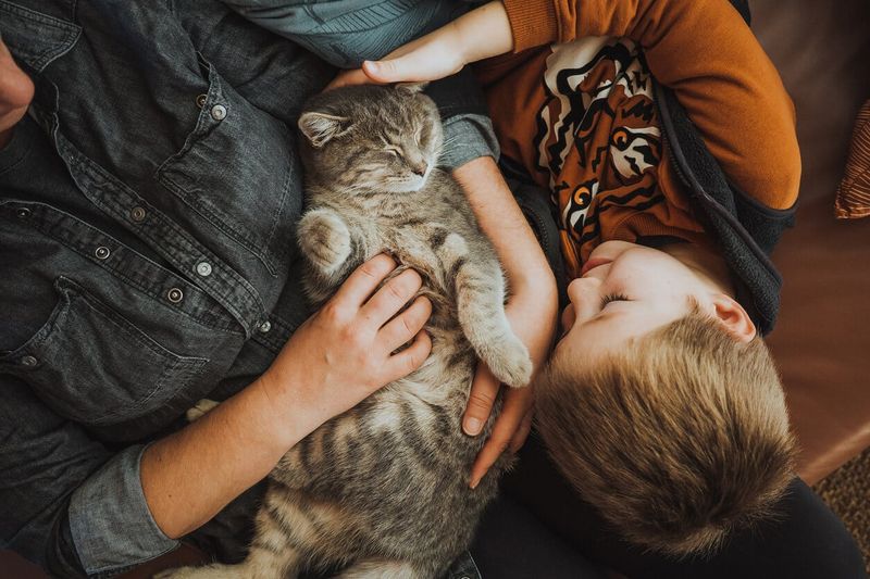 Renewed Bonding Opportunities