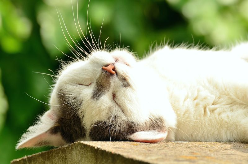 Respecting Sleep Habits