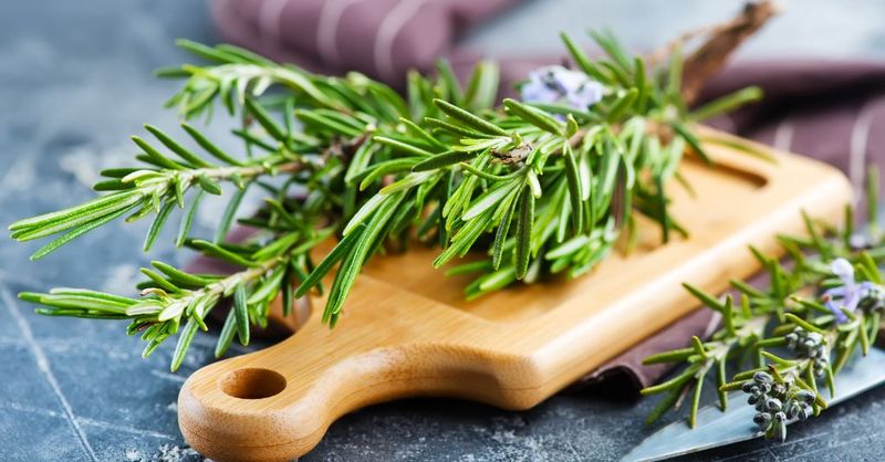 Rosemary