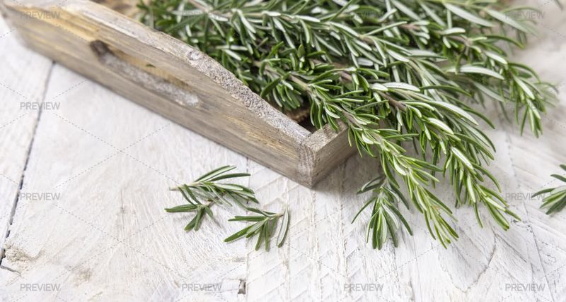 Rosemary