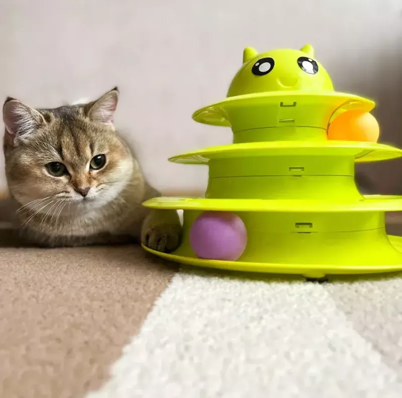 Rotate Their Toys