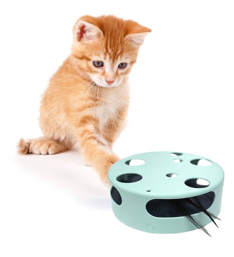 Rotate Toys to Keep Them Engaged